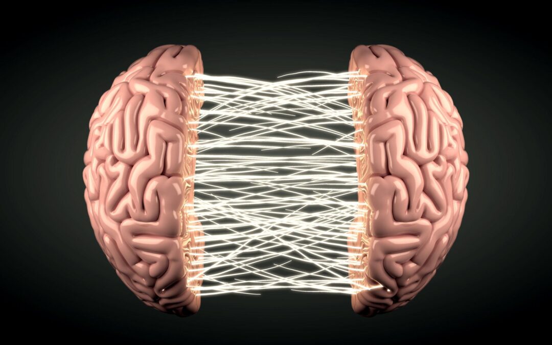 Sincronizarea cerebrală – un factor-cheie pentru funcționarea echilibrată a creierului