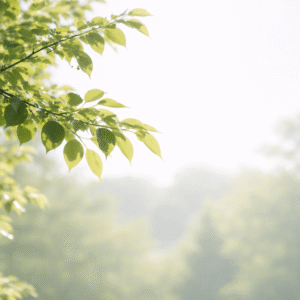 Healing Development – Online